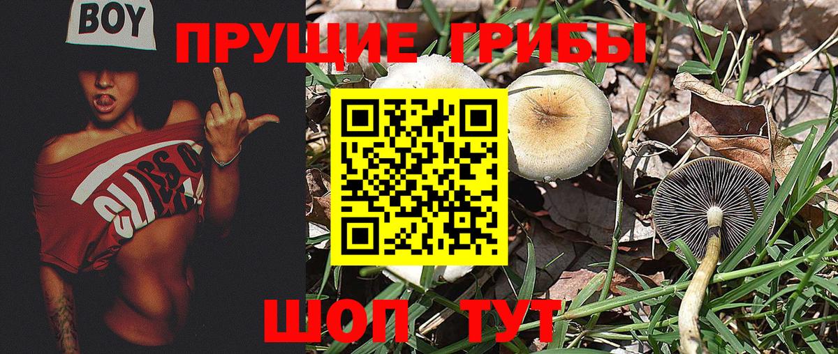 Псилоцибиновые грибы MAGIC MUSHROOMS  Галлюциногенные грибы Psilocybe  Вход с VPN  Норильск 