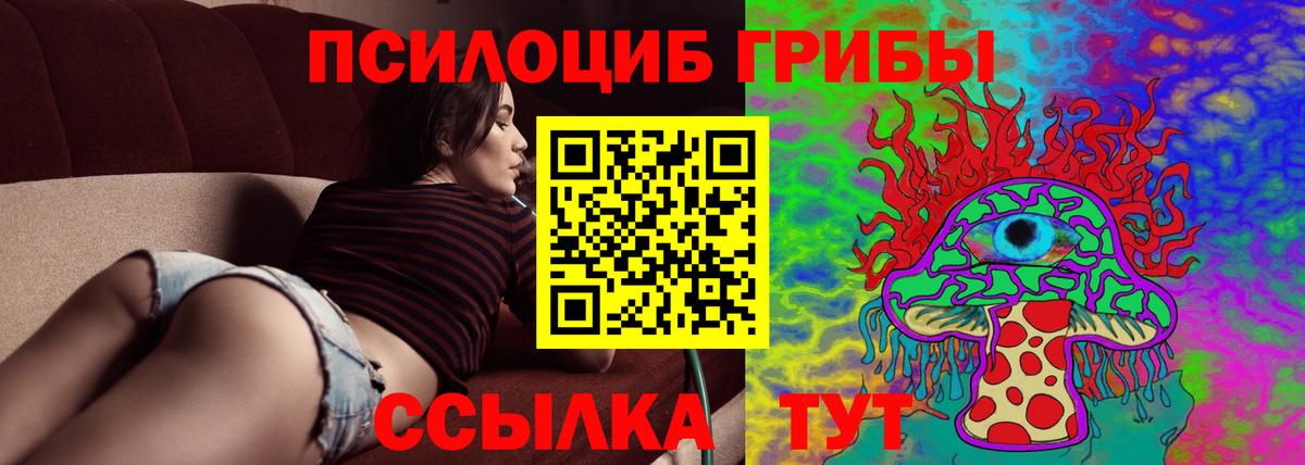 Псилоцибиновые грибы Psilocybine cubensis Норильск